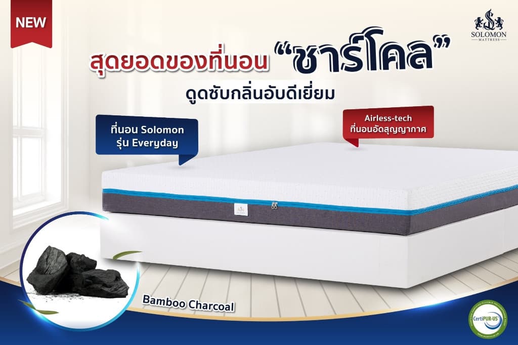 Solomon mattress รุ่น EVERYDAY ที่นอนยางพาราธรรมชาติแท้ 100% หนา 6 นิ้ว รองรับสรีระ 7 โซน บรรเทาอาการปวดหลัง https://lnwchill.com