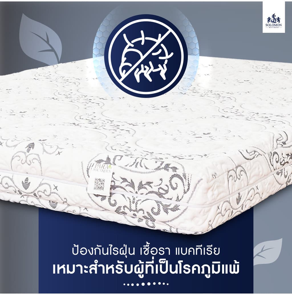 SOLOMON รุ่น Seven Zone ที่นอนยางพาราแท้ 100% หนา 6 นิ้ว รองรับสรีระ 7 ส่วน https://lnwchill.com