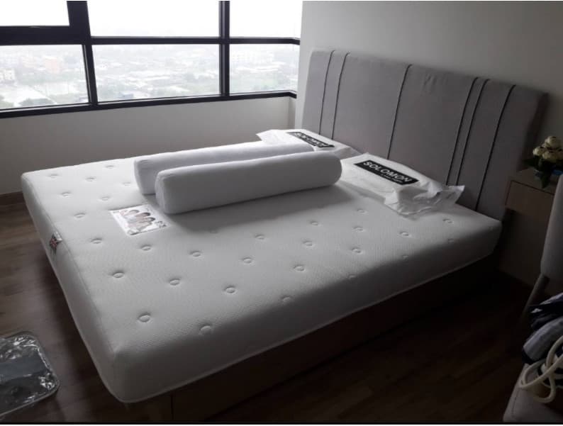 Solomon mattress รุ่น ParaSouthern ที่นอนยางพาราอัดแน่น หนา 6 นิ้ว รองรับสรีระ ลดอาการปวดหลัง https://lnwchill.com