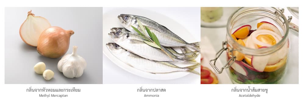 Hitachi ตู้เย็น R-M600VAG9THX 20.1 คิว 569 ลิตร ไซด์ บาย ไซด์ เทคโนโลยีสุญญากาศและระบบเปิดประตูอัตโนมัติเพื่อความสดใหม่และสะดวกสบาย https://lnwchill.com