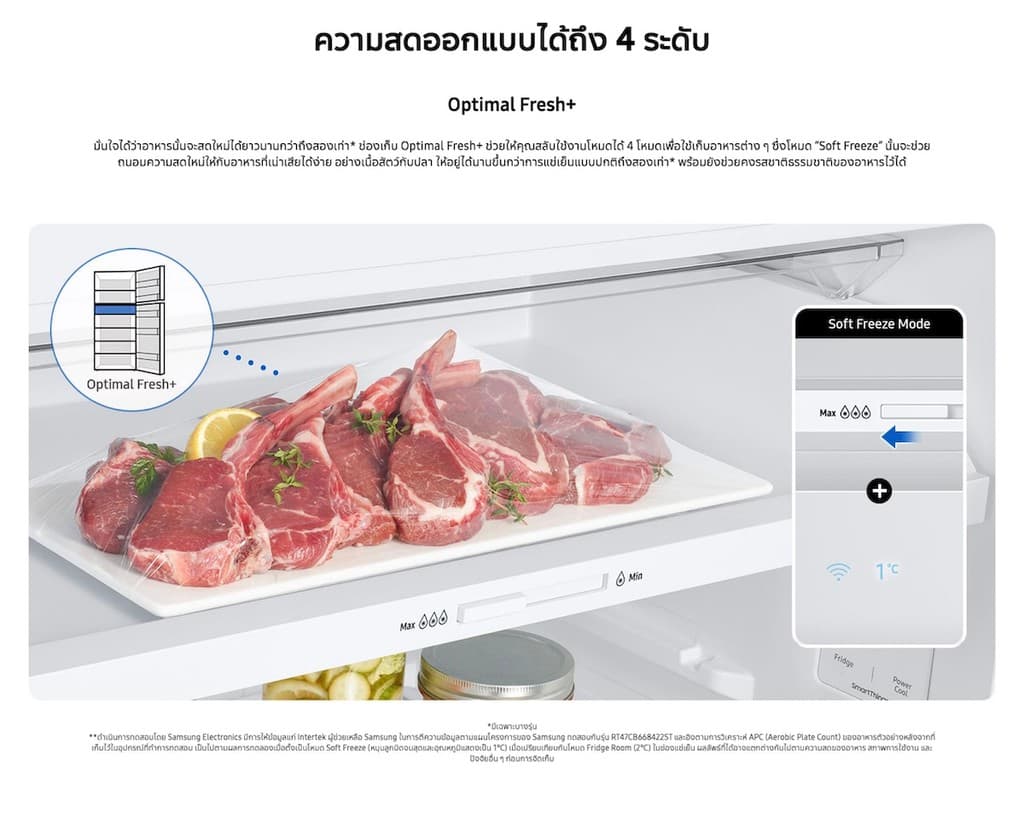 Samsung RT38CG6684B1ST รุ่น RT38CG6684B1ST ตู้เย็น 2 ประตู 13.6 คิว สีดำ พร้อม Optimal Fresh+ และ AI Energy Mode ประหยัดไฟอัจฉริยะ https://lnwchill.com