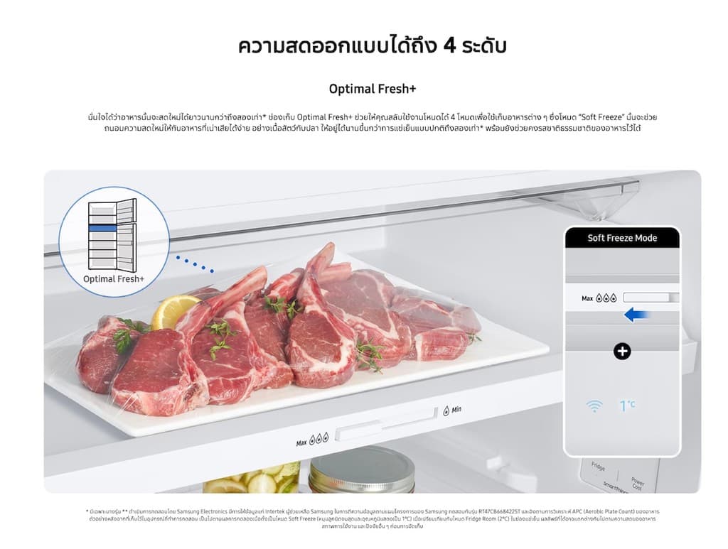 SAMSUNG RT35CG5644S9ST ตู้เย็น 2 ประตู 12.3 คิว 348 ลิตร SpaceMax™ สี Refined Inox ระบบทำความเย็น All-Around Cooling ประหยัดพลังงาน AI Energy Mode https://lnwchill.com