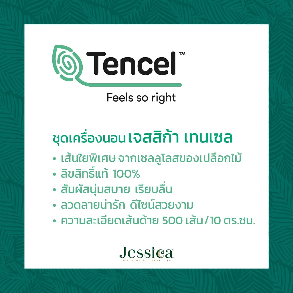 Jessica รุ่น Tencel T002 ชุดเครื่องนอนผ้า Tencel™ Lyocell ลายลิขสิทธิ์แท้ Sanrio Cinnamoroll มอบสัมผัสนุ่มลื่นเย็นสบายและป้องกันแบคทีเรีย https://lnwchill.com