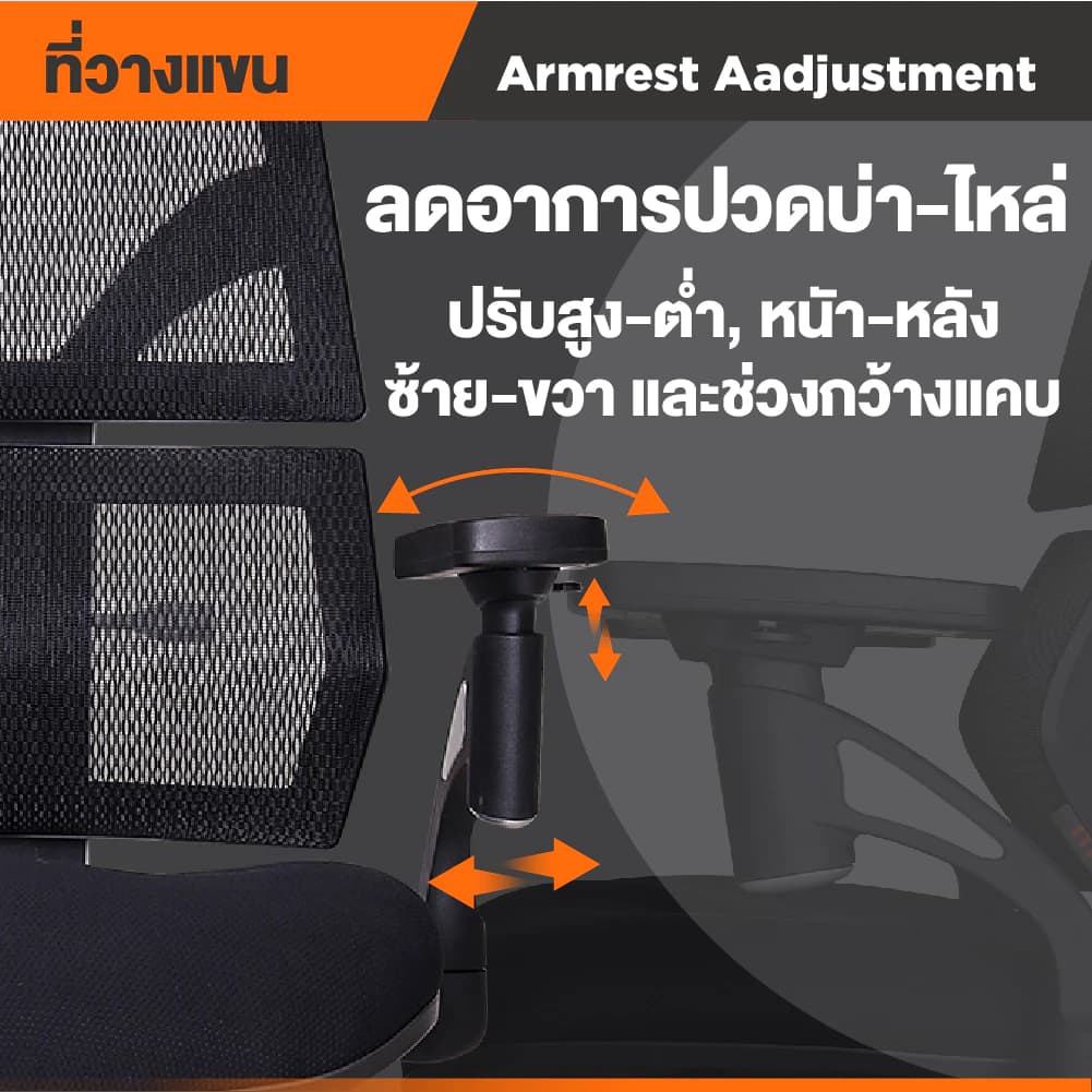 Ergotrend เก้าอี้เพื่อสุขภาพ เออร์โกเทรน รุ่น Malmo เก้าอี้สีดำ ระบายอากาศดีเยี่ยม นุ่มสบาย ตามหลักสรีระศาสตร์ Ergonomic เก้าอี้พนักพิงสูง ลดอาการปวดเมื่อย เกรดคุณภาพ ราคาดี https://lnwchill.com