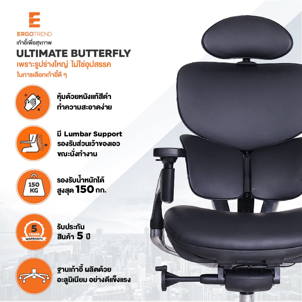 Ergotrend เก้าอี้เพื่อสุขภาพ เออร์โกเทรน รุ่น Ultimate Butterfly เก้าอี้สีดำ ระบายอากาศดีเยี่ยม นุ่มสบาย ตามหลักสรีระศาสตร์ Ergonomic เก้าอี้พนักพิงสูง ลดอาการปวดเมื่อย เกรดคุณภาพ https://lnwchill.com