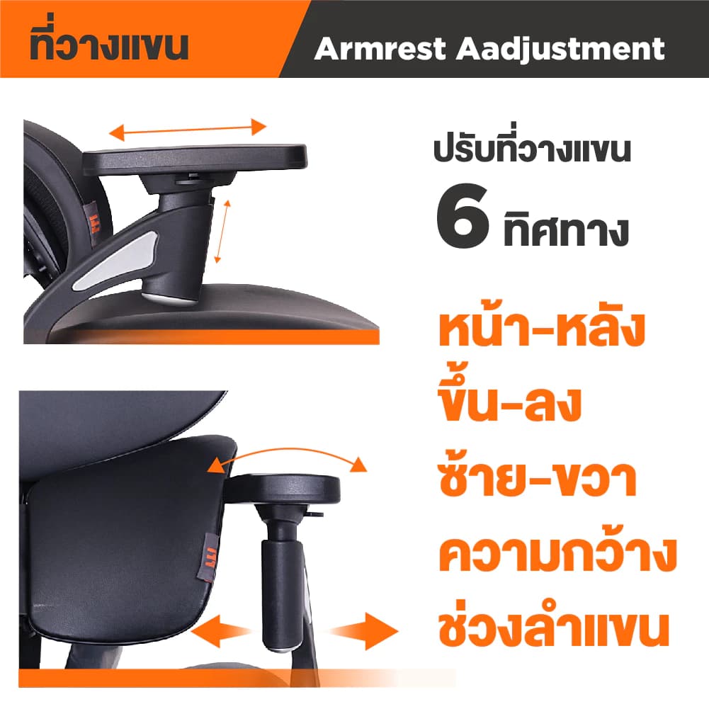 Ergotrend เก้าอี้เพื่อสุขภาพ เออร์โกเทรน รุ่น Ultimate Butterfly เก้าอี้สีดำ ระบายอากาศดีเยี่ยม นุ่มสบาย ตามหลักสรีระศาสตร์ Ergonomic เก้าอี้พนักพิงสูง ลดอาการปวดเมื่อย เกรดคุณภาพ https://lnwchill.com