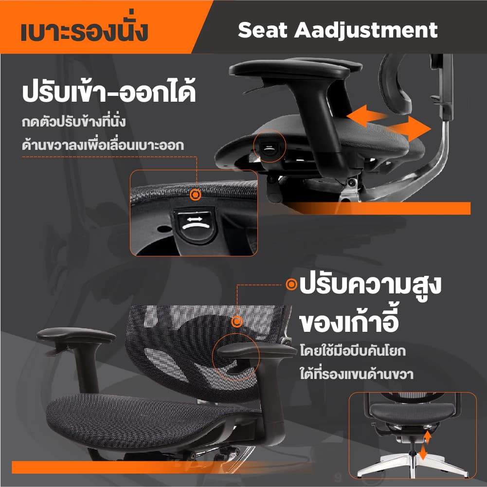 Ergotrend เก้าอี้เพื่อสุขภาพเออร์โกเทรน รุ่น Oster สีดำ เก้าอี้สีดำ ระบายอากาศดีเยี่ยม นุ่มสบาย ตามหลักสรีระศาสตร์ Ergonomic รองรับน้ำหนักได้สูงสุด 150 กก. ลดอาการปวดเมื่อย เกรดพรีเมี่ยม https://lnwchill.com