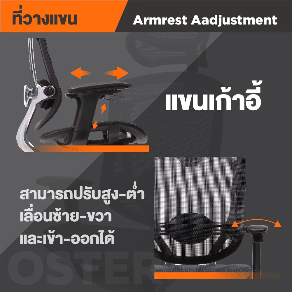 Ergotrend เก้าอี้เพื่อสุขภาพเออร์โกเทรน รุ่น Oster สีดำ เก้าอี้สีดำ ระบายอากาศดีเยี่ยม นุ่มสบาย ตามหลักสรีระศาสตร์ Ergonomic รองรับน้ำหนักได้สูงสุด 150 กก. ลดอาการปวดเมื่อย เกรดพรีเมี่ยม https://lnwchill.com