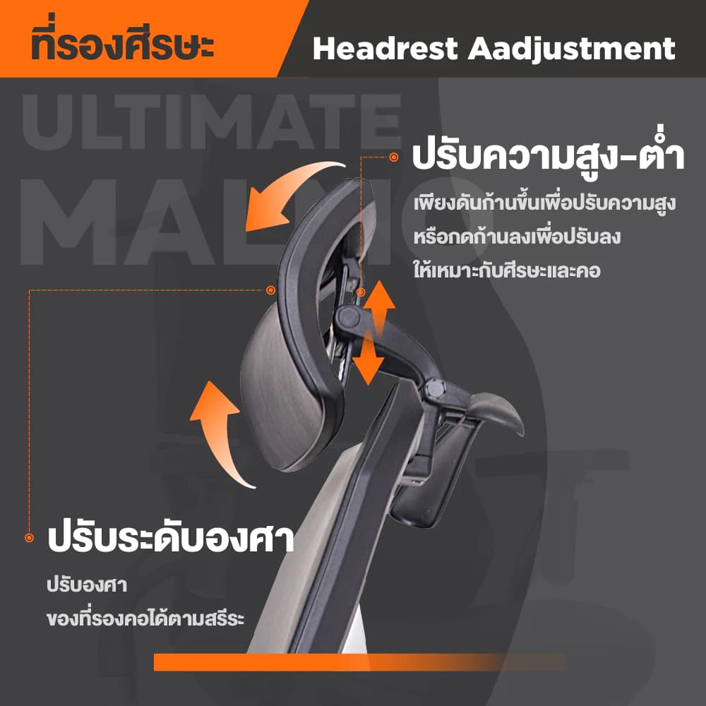 Ergotrend เก้าอี้เพื่อสุขภาพ เออร์โกเทรน รุ่น Ultimate Malmo เก้าอี้สีดำ ระบายอากาศดีเยี่ยม นุ่มสบาย ตามหลักสรีระศาสตร์ Ergonomic เก้าอี้พนักพิงสูง ลดอาการปวดเมื่อย เกรดคุณภาพ https://lnwchill.com