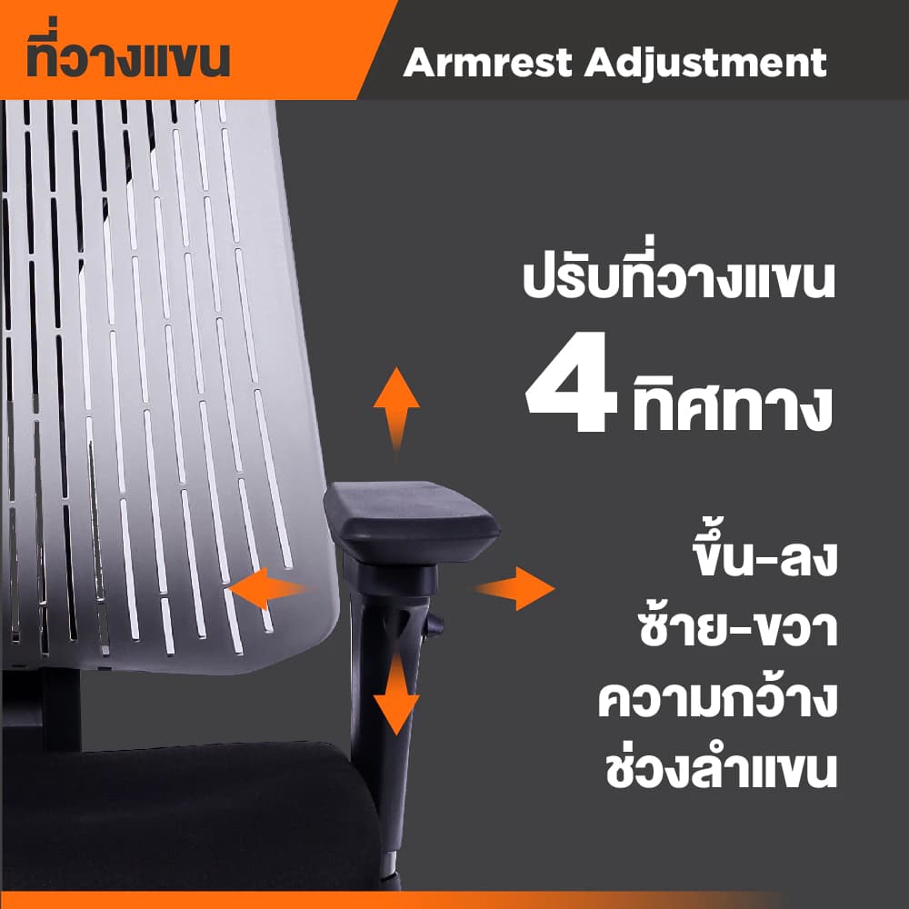 Ergotrend เก้าอี้เพื่อสุขภาพ เออร์โกเทรน รุ่น Truly เก้าอี้สีดำ ระบายอากาศดีเยี่ยม นุ่มสบาย ตามหลักสรีระศาสตร์ Ergonomic เก้าอี้พนักพิงสูง ลดอาการปวดเมื่อย เกรดคุณภาพ https://lnwchill.com