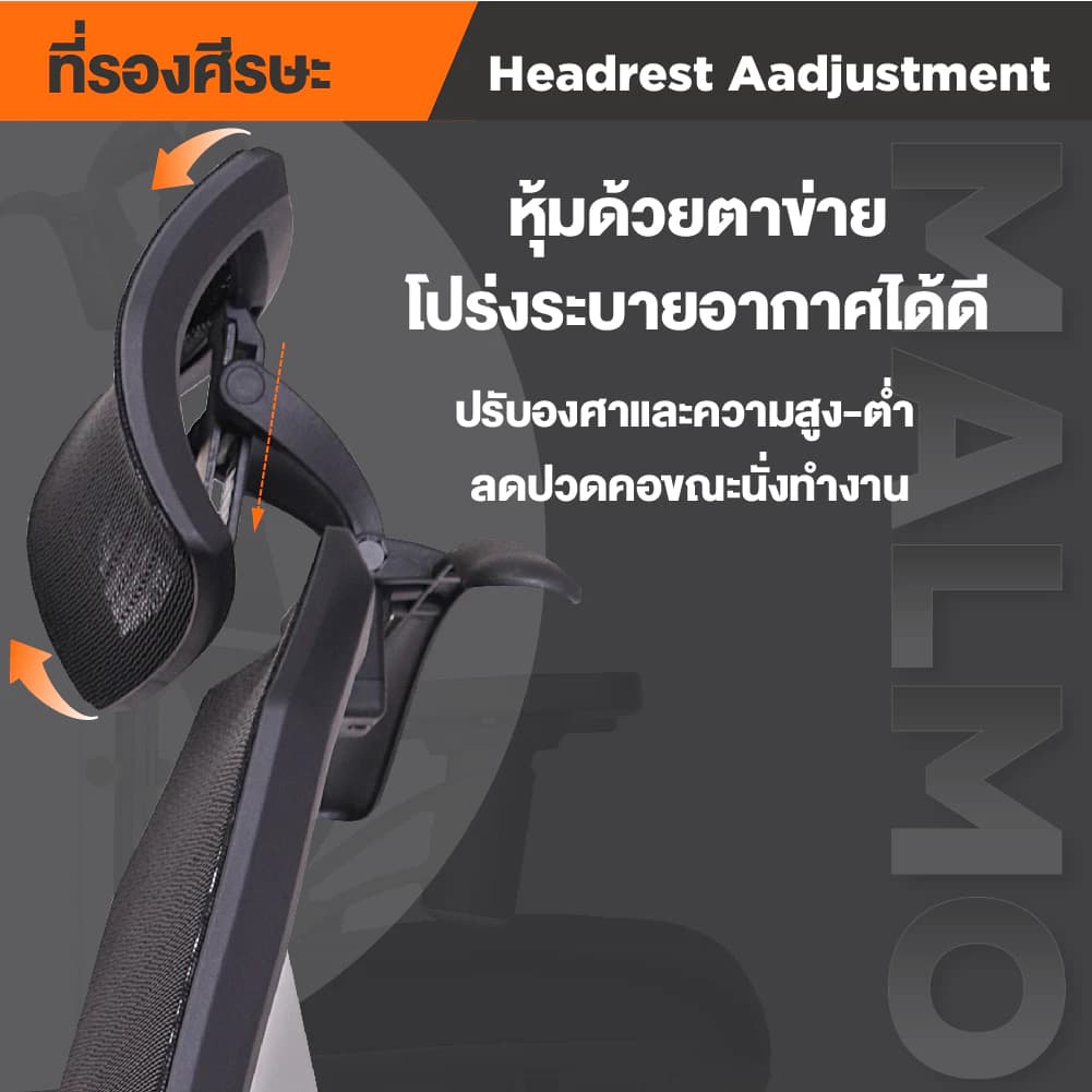 Ergotrend เก้าอี้เพื่อสุขภาพ เออร์โกเทรน รุ่น Malmo เก้าอี้สีดำ ระบายอากาศดีเยี่ยม นุ่มสบาย ตามหลักสรีระศาสตร์ Ergonomic เก้าอี้พนักพิงสูง ลดอาการปวดเมื่อย เกรดคุณภาพ ราคาดี https://lnwchill.com