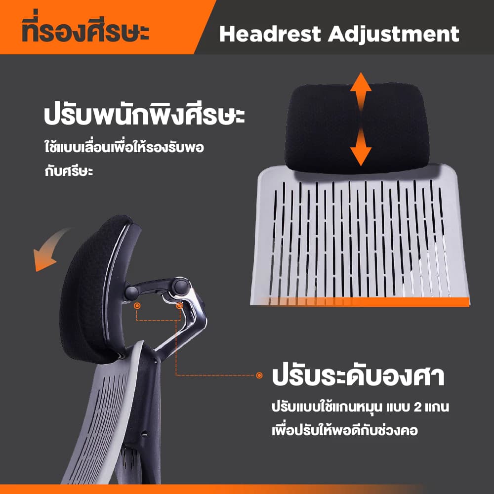 Ergotrend เก้าอี้เพื่อสุขภาพ เออร์โกเทรน รุ่น Truly เก้าอี้สีดำ ระบายอากาศดีเยี่ยม นุ่มสบาย ตามหลักสรีระศาสตร์ Ergonomic เก้าอี้พนักพิงสูง ลดอาการปวดเมื่อย เกรดคุณภาพ https://lnwchill.com