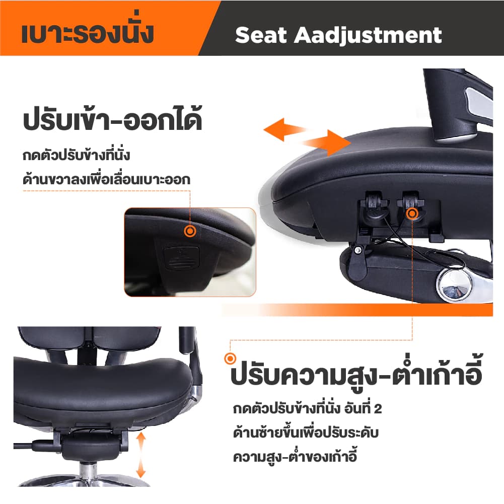 Ergotrend เก้าอี้เพื่อสุขภาพ เออร์โกเทรน รุ่น Ultimate Butterfly เก้าอี้สีดำ ระบายอากาศดีเยี่ยม นุ่มสบาย ตามหลักสรีระศาสตร์ Ergonomic เก้าอี้พนักพิงสูง ลดอาการปวดเมื่อย เกรดคุณภาพ https://lnwchill.com