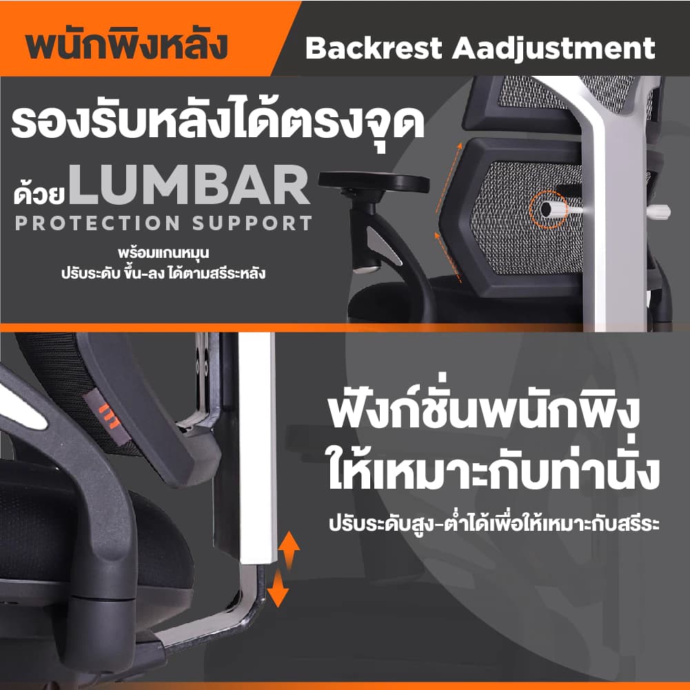 Ergotrend เก้าอี้เพื่อสุขภาพ เออร์โกเทรน รุ่น Malmo เก้าอี้สีดำ ระบายอากาศดีเยี่ยม นุ่มสบาย ตามหลักสรีระศาสตร์ Ergonomic เก้าอี้พนักพิงสูง ลดอาการปวดเมื่อย เกรดคุณภาพ ราคาดี https://lnwchill.com