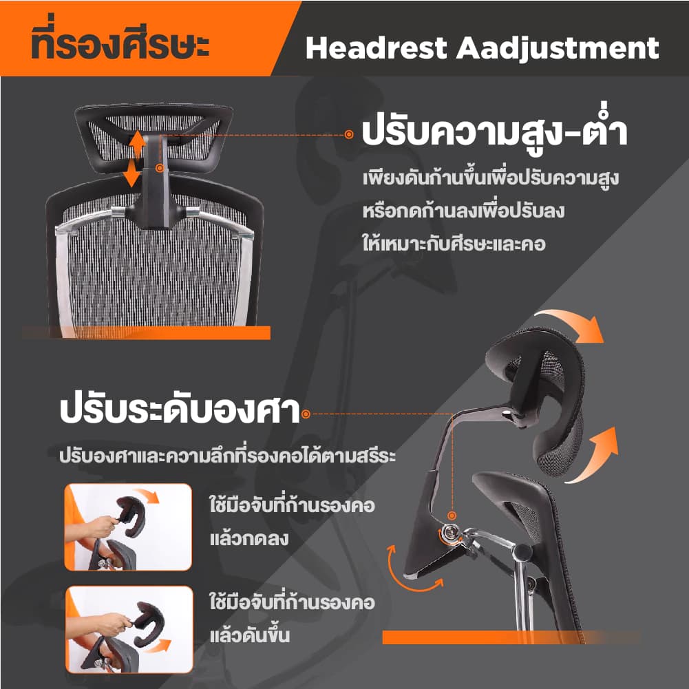 Ergotrend เก้าอี้เพื่อสุขภาพเออร์โกเทรน รุ่น Oster สีดำ เก้าอี้สีดำ ระบายอากาศดีเยี่ยม นุ่มสบาย ตามหลักสรีระศาสตร์ Ergonomic รองรับน้ำหนักได้สูงสุด 150 กก. ลดอาการปวดเมื่อย เกรดพรีเมี่ยม https://lnwchill.com