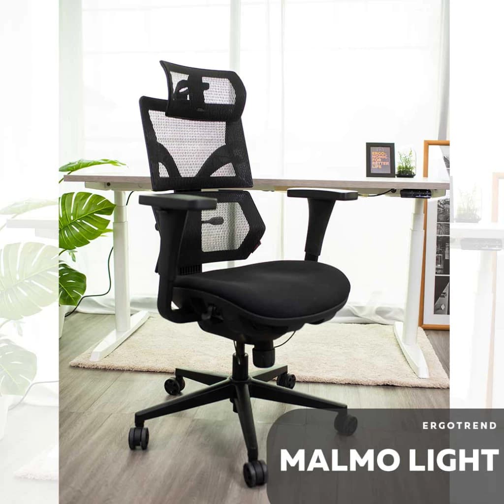 Ergotrend เก้าอี้เพื่อสุขภาพเออร์โกเทรน รุ่น Malmo Light เก้าอี้สีดำ ระบายอากาศดีเยี่ยม นุ่มสบาย ตามหลักสรีระศาสตร์ Ergonomic เก้าอี้พนักพิงสูง ลดอาการปวดเมื่อย เกรดคุณภาพ https://lnwchill.com