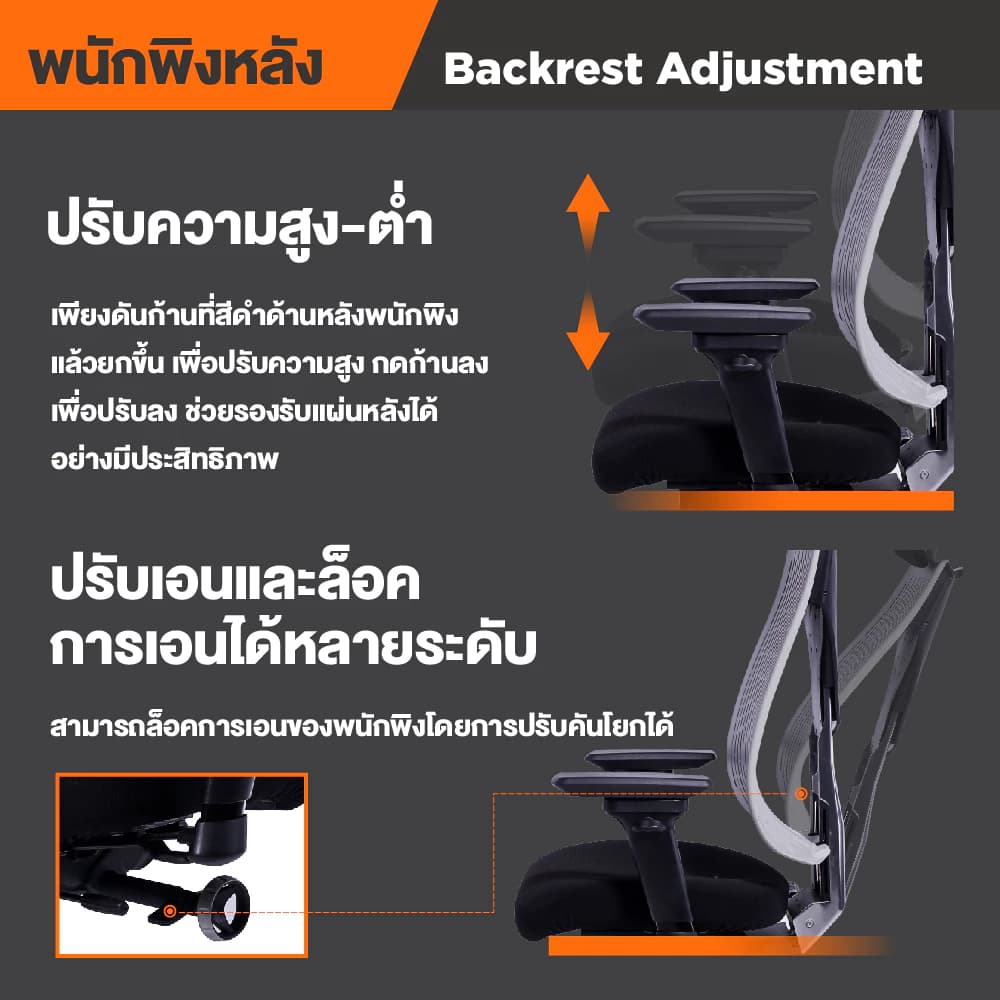 Ergotrend เก้าอี้เพื่อสุขภาพ เออร์โกเทรน รุ่น Truly เก้าอี้สีดำ ระบายอากาศดีเยี่ยม นุ่มสบาย ตามหลักสรีระศาสตร์ Ergonomic เก้าอี้พนักพิงสูง ลดอาการปวดเมื่อย เกรดคุณภาพ https://lnwchill.com