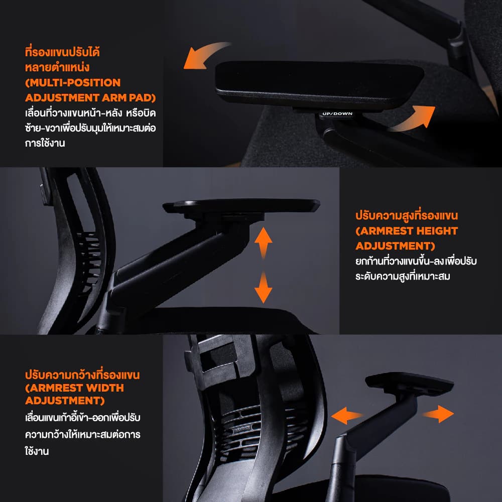 Ergotrend เก้าอี้เพื่อสุขภาพเออร์โกเทรน รุ่น Bergen all black เก้าอี้สีดำ ระบายอากาศดีเยี่ยม นุ่มสบาย ตามหลักสรีระศาสตร์ Ergonomic เก้าอี้พนักพิงสูง ลดอาการปวดเมื่อย เกรดคุณภาพ https://lnwchill.com