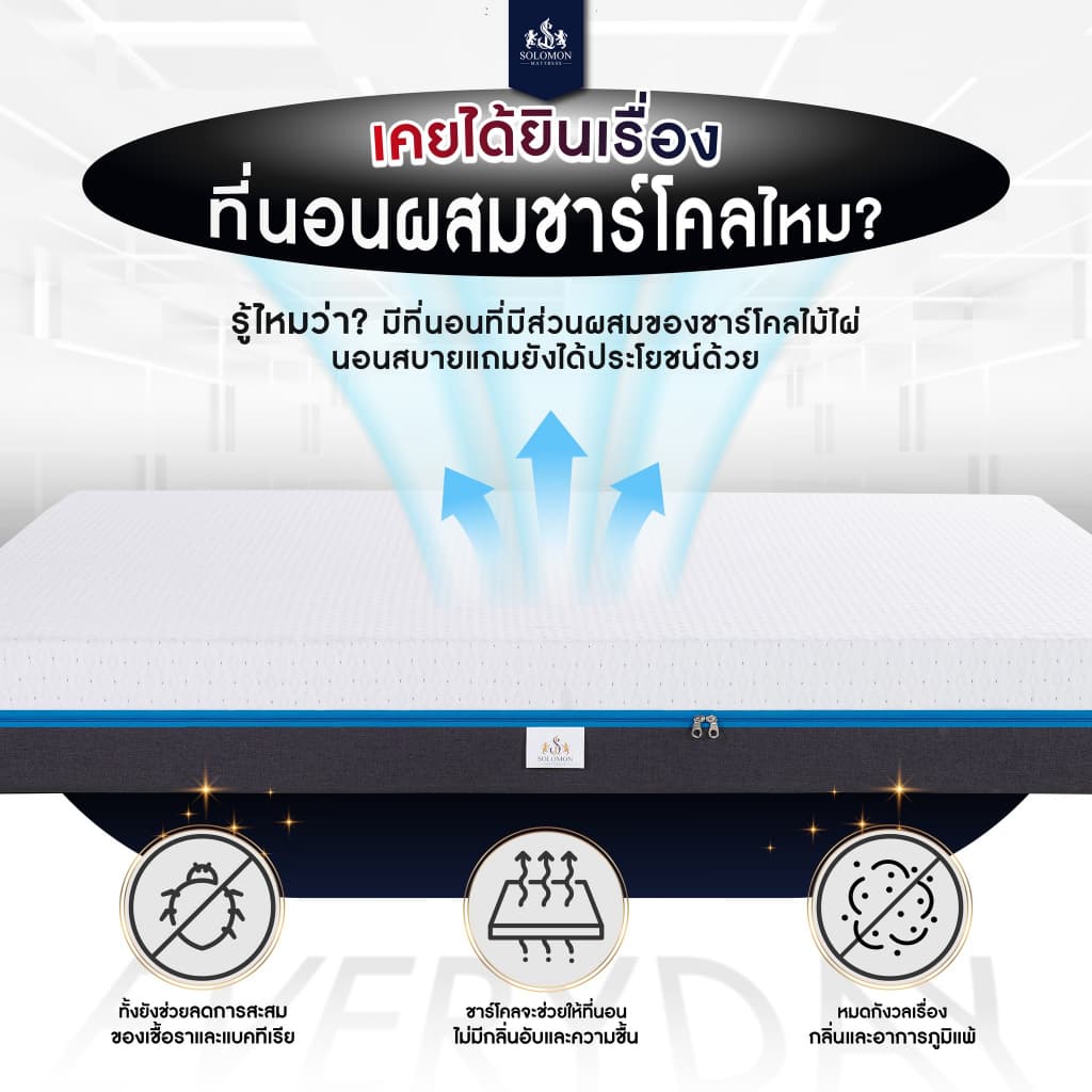 Solomon mattress รุ่น EVERYDAY ที่นอนยางพาราธรรมชาติแท้ 100% หนา 6 นิ้ว รองรับสรีระ 7 โซน บรรเทาอาการปวดหลัง https://lnwchill.com