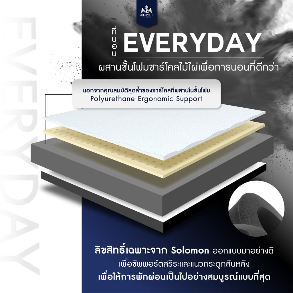 Solomon mattress รุ่น EVERYDAY ที่นอนยางพาราธรรมชาติแท้ 100% หนา 6 นิ้ว รองรับสรีระ 7 โซน บรรเทาอาการปวดหลัง https://lnwchill.com