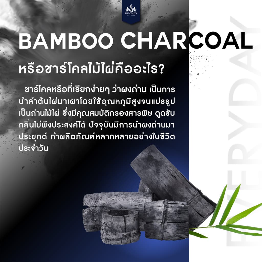 Solomon mattress รุ่น EVERYDAY ที่นอนยางพาราธรรมชาติแท้ 100% หนา 6 นิ้ว รองรับสรีระ 7 โซน บรรเทาอาการปวดหลัง https://lnwchill.com