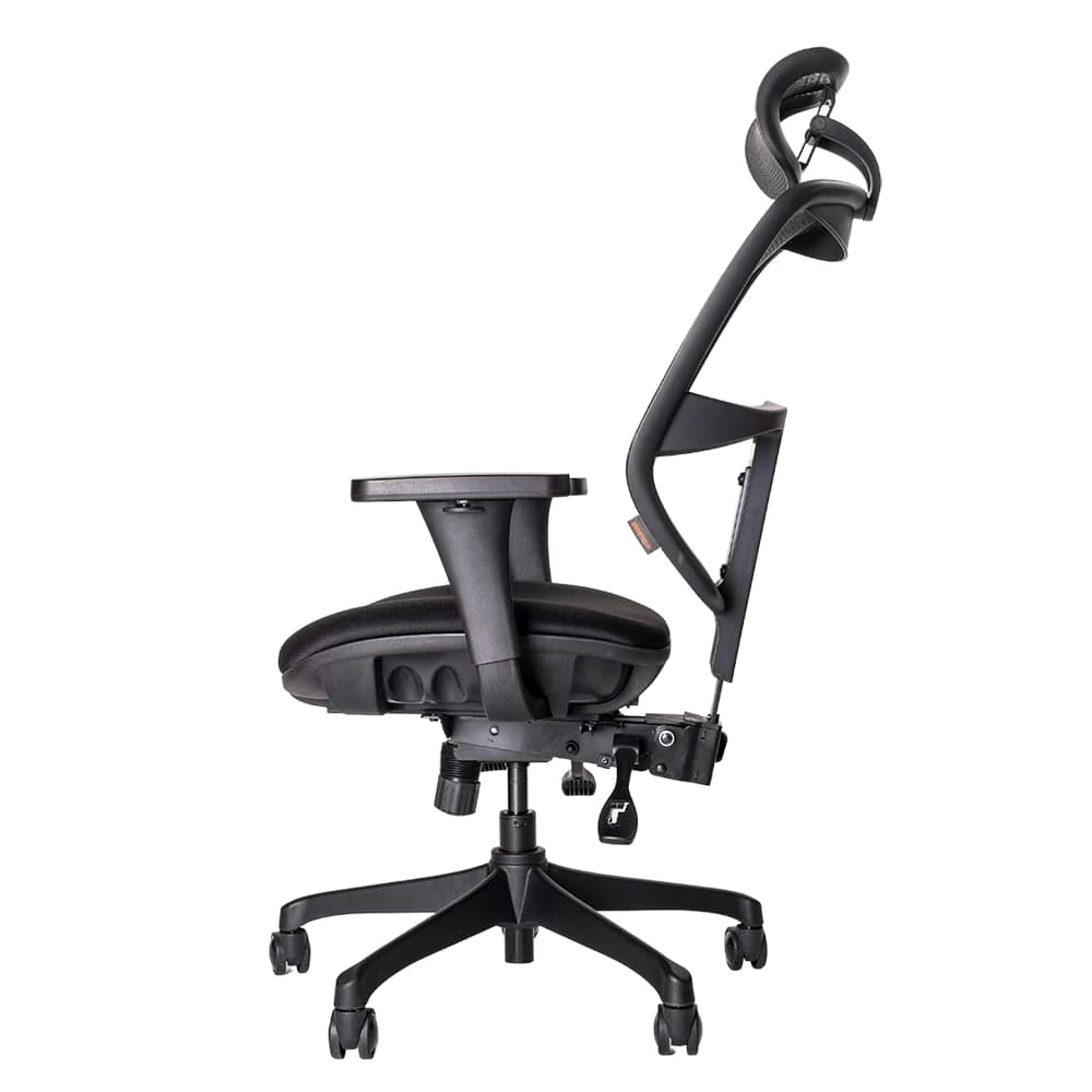 Ergotrend เก้าอี้เพื่อสุขภาพ เออร์โกเทรน รุ่น Ergo Joy Plus เก้าอี้สีดำ ระบายอากาศดีเยี่ยม นุ่มสบาย ตามหลักสรีระศาสตร์ Ergonomic เก้าอี้พนักพิงสูง ลดอาการปวดเมื่อย เกรดคุณภาพ https://lnwchill.com