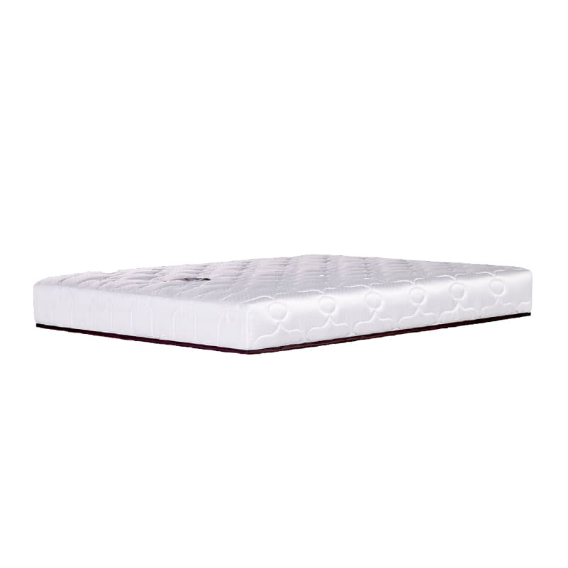 Solomon mattress SOLOMON รุ่น Paralite ที่นอนยางพาราเสริมยางพาราอัด หนา 6 นิ้ว รองรับสรีระได้ดีเยี่ยม https://lnwchill.com