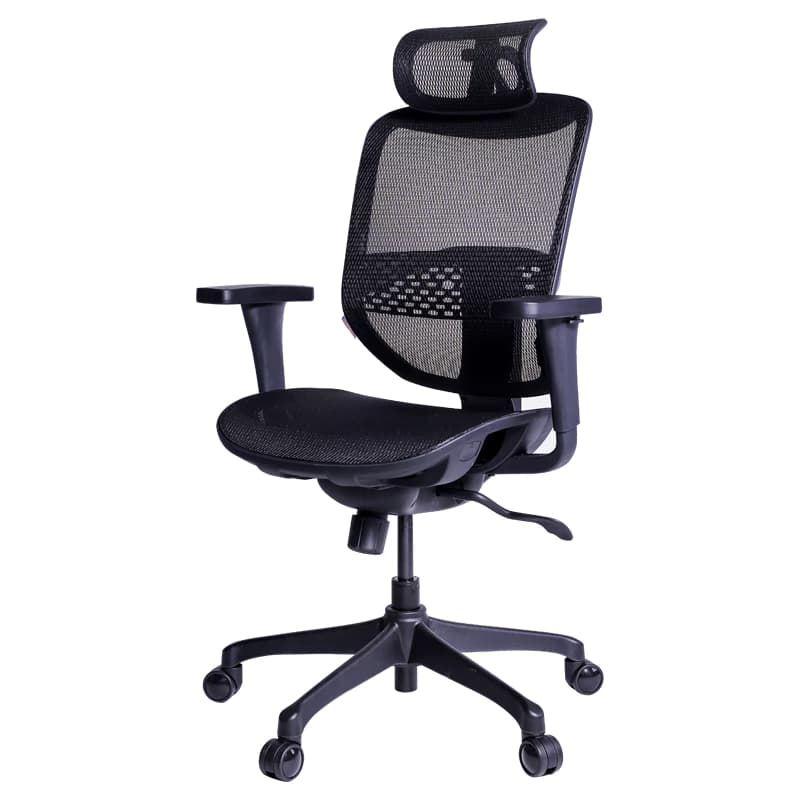 Ergotrend เก้าอี้เพื่อสุขภาพ เออร์โกเทรน รุ่น ERGO JOY PRO เก้าอี้สีดำ ระบายอากาศดีเยี่ยม นุ่มสบาย ตามหลักสรีระศาสตร์ Ergonomic เก้าอี้พนักพิงสูง ลดอาการปวดเมื่อย เกรดคุณภาพ https://lnwchill.com