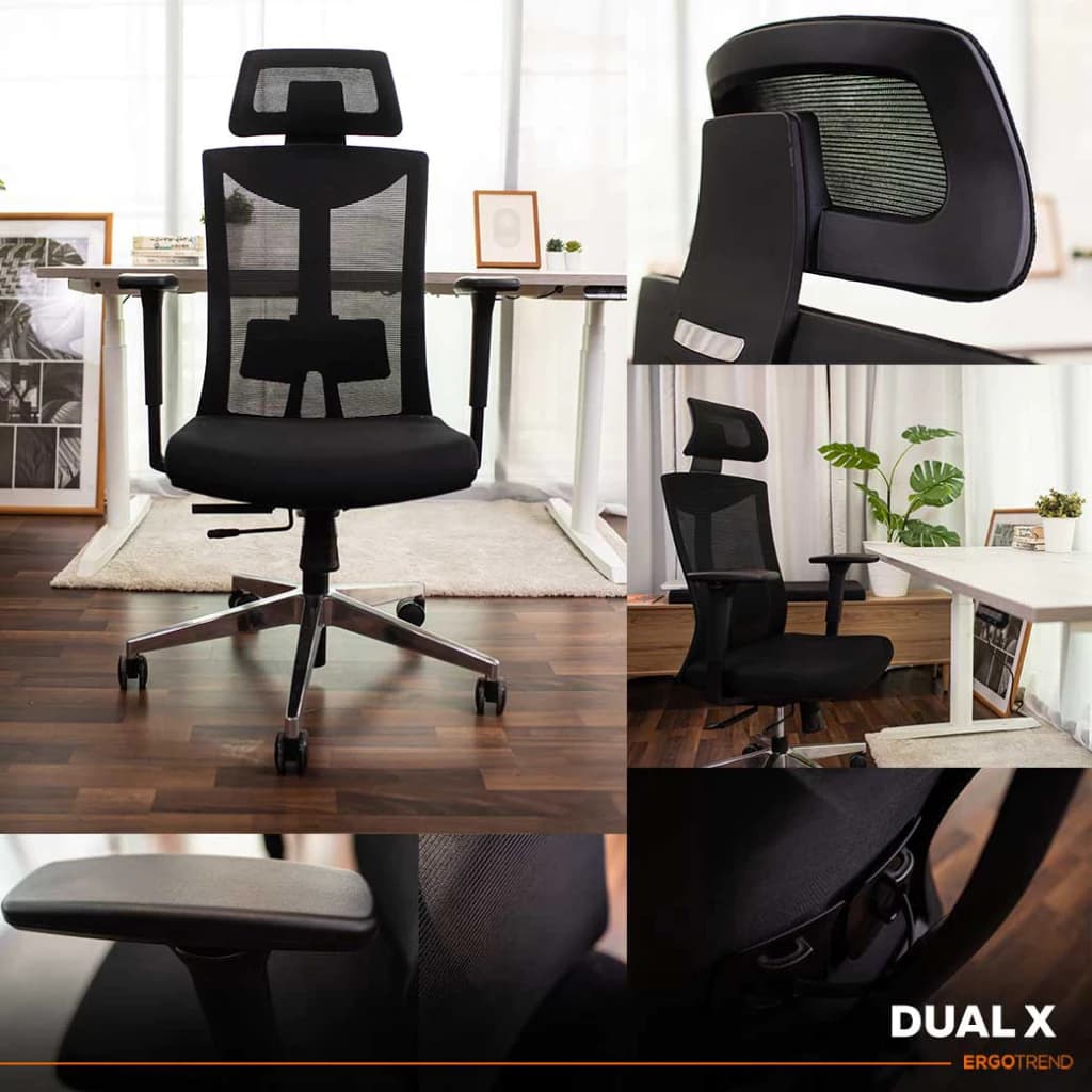 Ergotrend เก้าอี้เพื่อสุขภาพ เออร์โกเทรน รุ่น Dual-X เก้าอี้สีดำ ระบายอากาศดีเยี่ยม นุ่มสบาย ตามหลักสรีระศาสตร์ Ergonomic เก้าอี้พนักพิงสูง ลดอาการปวดเมื่อย เกรดคุณภาพ https://lnwchill.com