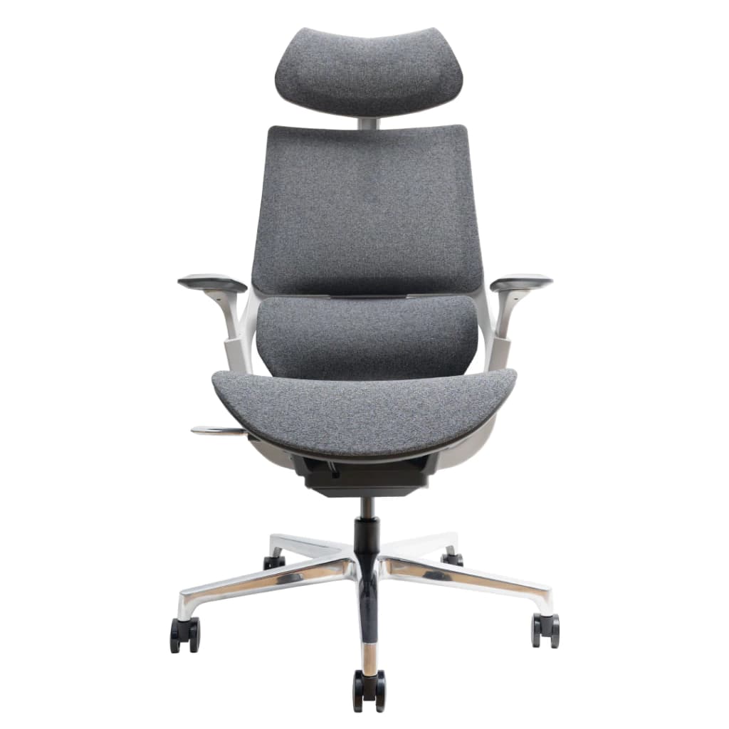 Ergotrend เก้าอี้เพื่อสุขภาพเออร์โกเทรน รุ่น X-Beyond เก้าอี้สีดำ ระบายอากาศดีเยี่ยม นุ่มสบาย ตามหลักสรีระศาสตร์ Ergonomic เก้าอี้พนักพิงสูง ลดอาการปวดเมื่อย เกรดคุณภาพ https://lnwchill.com