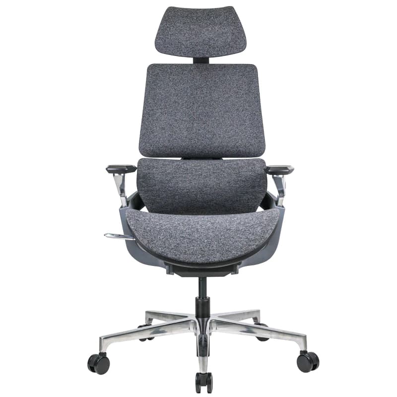 Ergotrend เก้าอี้เพื่อสุขภาพเออร์โกเทรน รุ่น Beyond เก้าอี้สีดำ ระบายอากาศดีเยี่ยม นุ่มสบาย ตามหลักสรีระศาสตร์ Ergonomic เก้าอี้พนักพิงสูง ลดอาการปวดเมื่อย เกรดพรีเมี่ยม https://lnwchill.com