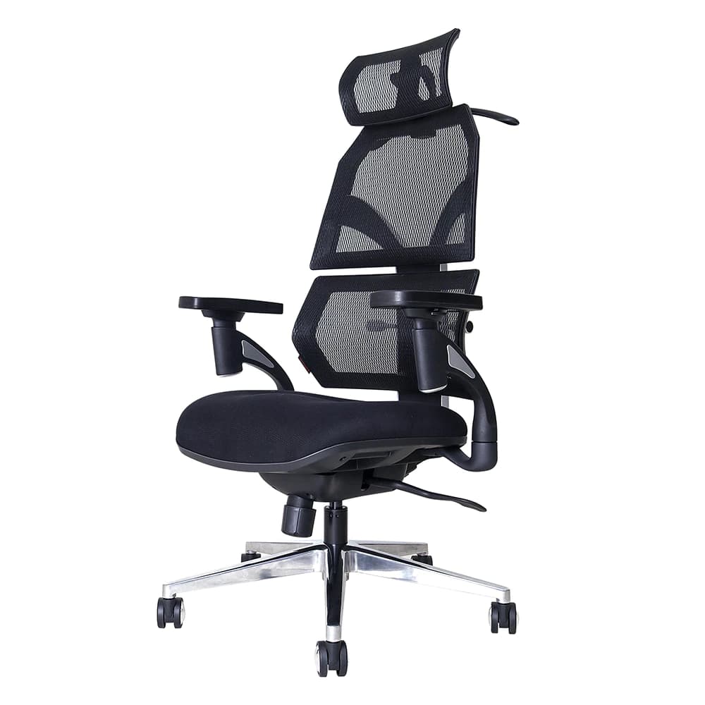 Ergotrend เก้าอี้เพื่อสุขภาพ เออร์โกเทรน รุ่น Malmo เก้าอี้สีดำ ระบายอากาศดีเยี่ยม นุ่มสบาย ตามหลักสรีระศาสตร์ Ergonomic เก้าอี้พนักพิงสูง ลดอาการปวดเมื่อย เกรดคุณภาพ ราคาดี https://lnwchill.com