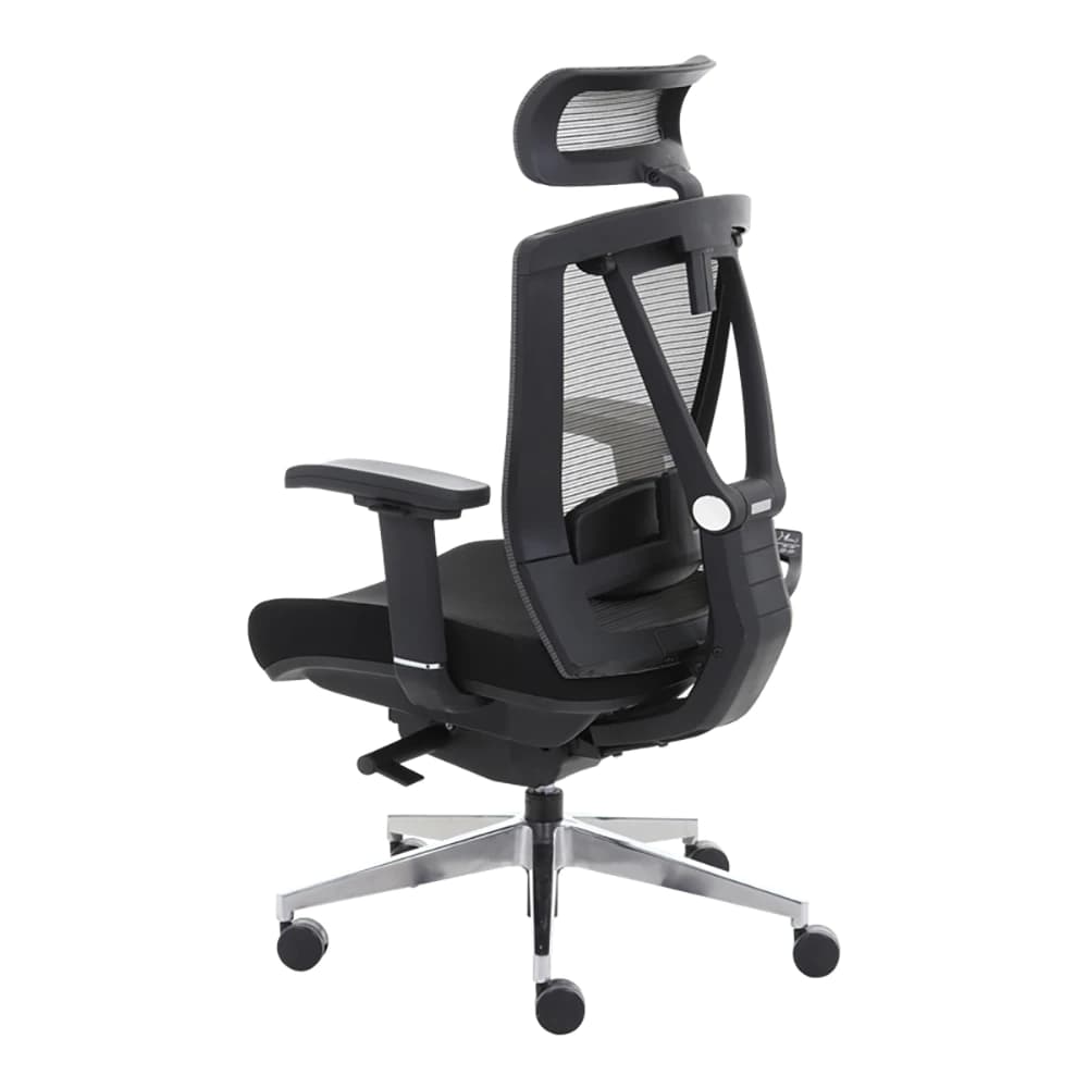 Ergotrend เก้าอี้เพื่อสุขภาพ เออร์โกเทรน รุ่น ERGO-X BLACK สีดำ เก้าอี้สีดำ ระบายอากาศดีเยี่ยม นุ่มสบาย ตามหลักสรีระศาสตร์ Ergonomic เก้าอี้พนักพิงสูง ลดอาการปวดเมื่อย เกรดคุณภาพ https://lnwchill.com