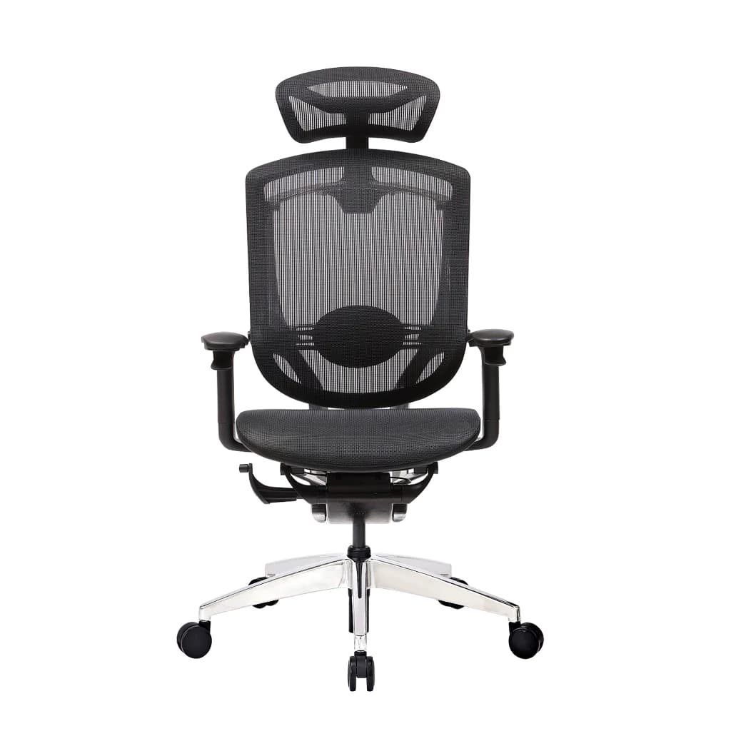 Ergotrend เก้าอี้เพื่อสุขภาพเออร์โกเทรน รุ่น Oster สีดำ เก้าอี้สีดำ ระบายอากาศดีเยี่ยม นุ่มสบาย ตามหลักสรีระศาสตร์ Ergonomic รองรับน้ำหนักได้สูงสุด 150 กก. ลดอาการปวดเมื่อย เกรดพรีเมี่ยม https://lnwchill.com