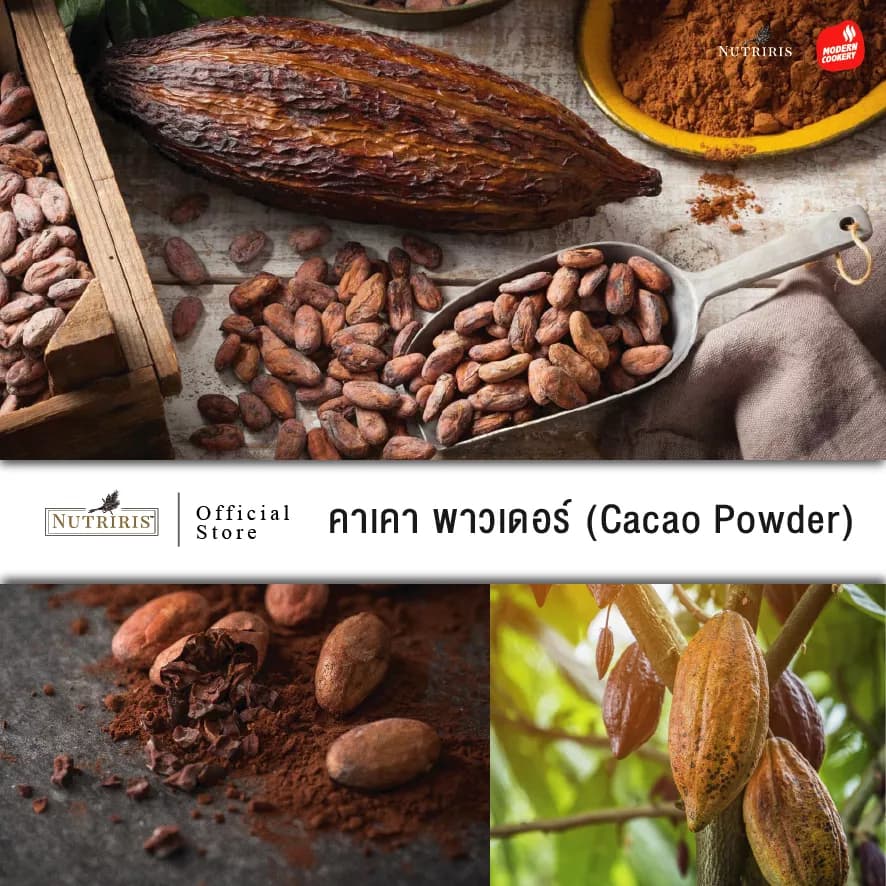 El Cacao รุ่น Peruvian Cacao Powder ผงคาเคาแท้ 100% 300g จากเปรู คีโตทานได้ รสชาติเข้มข้น หอมอร่อย https://lnwchill.com
