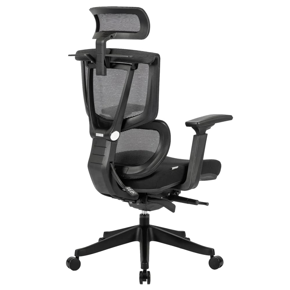 Ergotrend เก้าอี้เพื่อสุขภาพเออร์โกเทรน รุ่น DOLPH เก้าอี้สีดำ ระบายอากาศดีเยี่ยม นุ่มสบาย ตามหลักสรีระศาสตร์ Ergonomic เก้าอี้พนักพิงสูง ลดอาการปวดเมื่อย เกรดคุณภาพ https://lnwchill.com