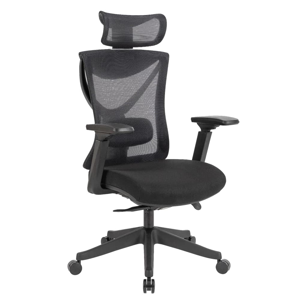 Ergotrend เก้าอี้เพื่อสุขภาพเออร์โกเทรน รุ่น BRUGE เก้าอี้สีดำ ระบายอากาศดีเยี่ยม นุ่มสบาย ตามหลักสรีระศาสตร์ Ergonomic เก้าอี้พนักพิงสูง ลดอาการปวดเมื่อย เกรดพรีเมี่ยม https://lnwchill.com