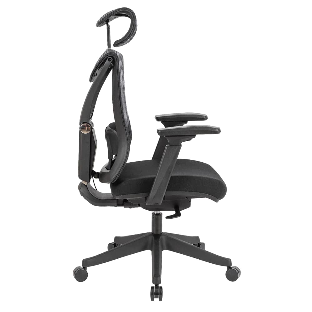 Ergotrend เก้าอี้เพื่อสุขภาพเออร์โกเทรน รุ่น BRUGE เก้าอี้สีดำ ระบายอากาศดีเยี่ยม นุ่มสบาย ตามหลักสรีระศาสตร์ Ergonomic เก้าอี้พนักพิงสูง ลดอาการปวดเมื่อย เกรดพรีเมี่ยม https://lnwchill.com