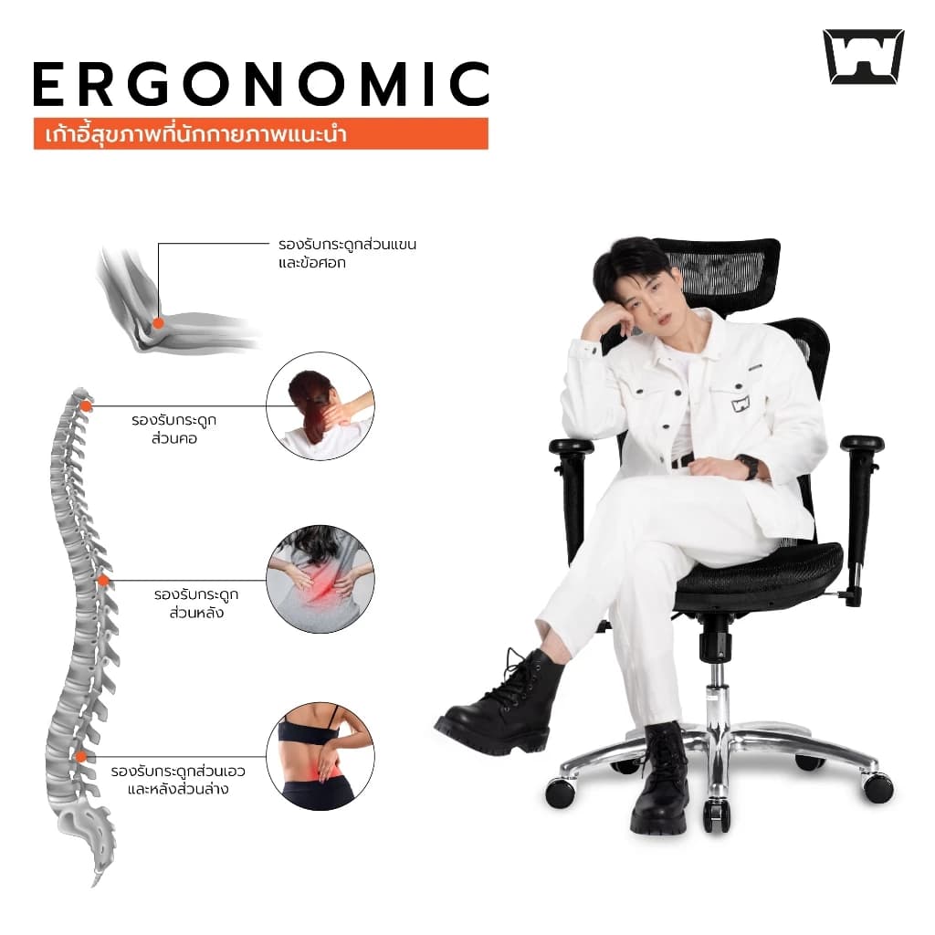 Work Station - Ergonomic chair เก้าอี้ทำงานเพื่อสุขภาพ รุ่น Model M เก้าอี้สีดำ เก้าอี้สีเทา นุ่มสบาย ตามหลักสรีระศาสตร์ เหล็กชุบโครเมียม เกรดพรีเมี่ยม เก้าอี้พนักพิงสูง รองรับน้ำหนัก 130 kg. https://lnwchill.com