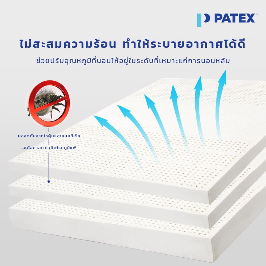 PATEX รุ่น Venice ที่นอนยางพาราแท้ 100% แบบนุ่มแน่น ขนาด 6-8 นิ้ว ช่วยแก้ปัญหาปวดหลัง https://lnwchill.com
