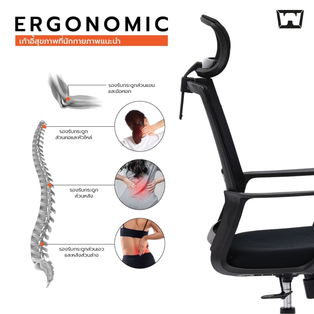 Work Station - Office chair เก้าอี้ทำงาน รุ่น Loki เก้าอี้สีดำ นุ่มสบาย ตามหลักสรีระศาสตร์ ราคาดี ลดอาการปวดเมื่อย รองรับน้ำหนัก 110 kg. ระบายอากาศดีเยี่ยม ราคาประหยัด https://lnwchill.com