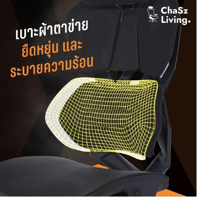 ChaSz Living เก้าอี้สุขภาพ รุ่น X5C Ergonomic Gaming Chair Black เก้าอี้สีดำ เก้าอี้เกมมิ่ง X5 Classic เก้าอี้ทำงานเพื่อสุขภาพ ระบายอากาศดีเยี่ยม เกรดพรีเมี่ยม https://lnwchill.com