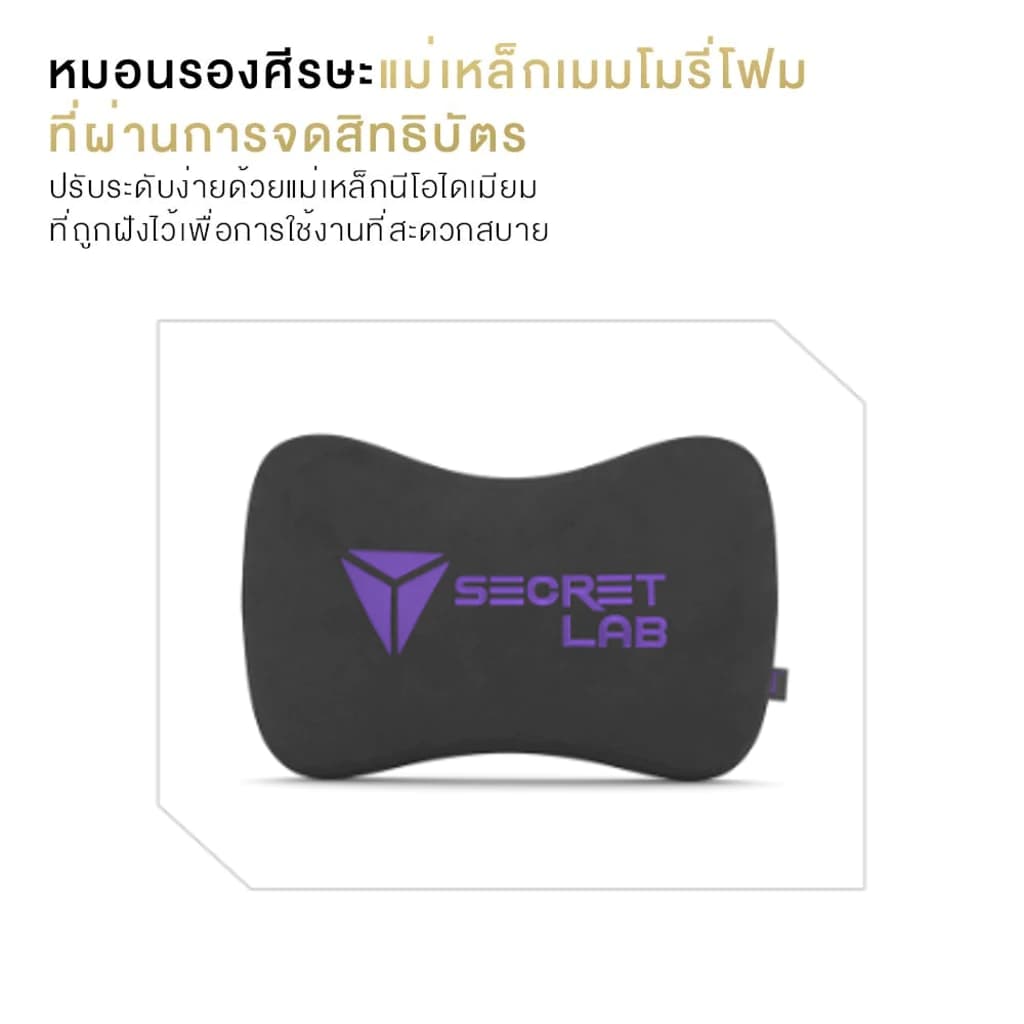 Secretlab TITAN Evo —The Joker Edition (Size R) เก้าอี้เกมมิ่งเพื่อสุขภาพ Ergonomic Gaming Chair https://lnwchill.com