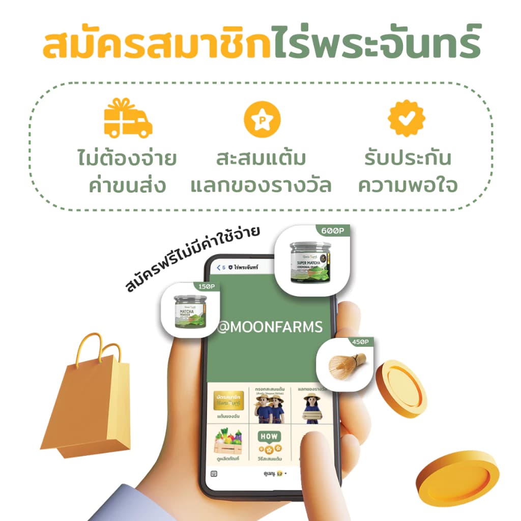 Llamito Organic Matcha Powder 250g ผงมัทฉะออร์แกนิค 100% เกรดพรีเมียม เพื่อพลังงาน สมาธิ และการเผาผลาญ https://lnwchill.com