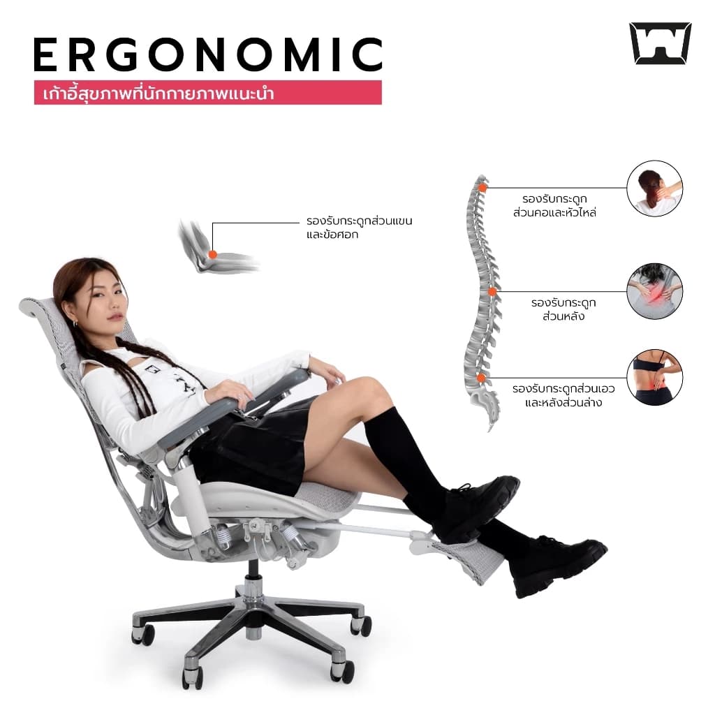 Work Station - Ergonomic chair เก้าอี้ทำงานเพื่อสุขภาพ รุ่น Model B นุ่มสบาย ตามหลักสรีระศาสตร์ รองรับน้ำหนักได้ถึง 150 kg. ลดอาการปวดเมื่อย ระบายอากาศดีเยี่ยม เกรดพรีเมี่ยม https://lnwchill.com