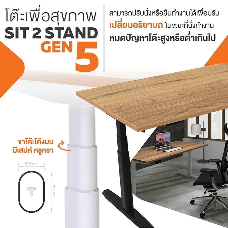 ErgoTrend (Pre-Order) โต๊ะปรับระดับไฟฟ้าเพื่อสุขภาพ Sit2Stand GEN5 ไม้PB (Premium dual motor) https://lnwchill.com