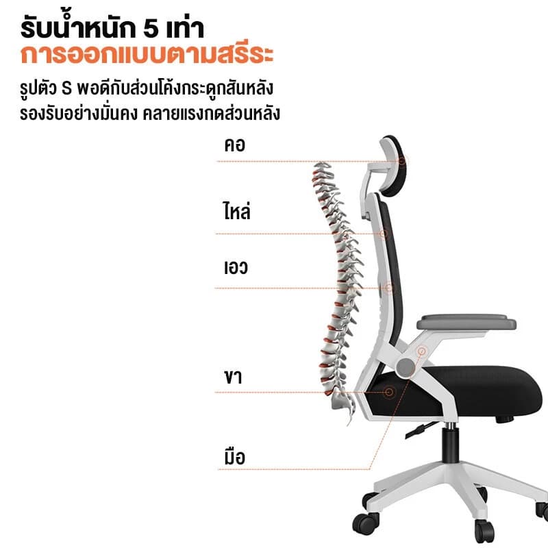 ALOVE เก้าอี้สำนักงาน [รุ่นอัพเกรด] เก้าอี้สีดำ เก้าอี้สีขาว สไตล์โมเดิร์น เก้าอี้ทำงาน พร้อมที่วางแขนและหมอน หลายสี พนักพิงหลังสูง รูปตัว S รับสรีระ https://lnwchill.com