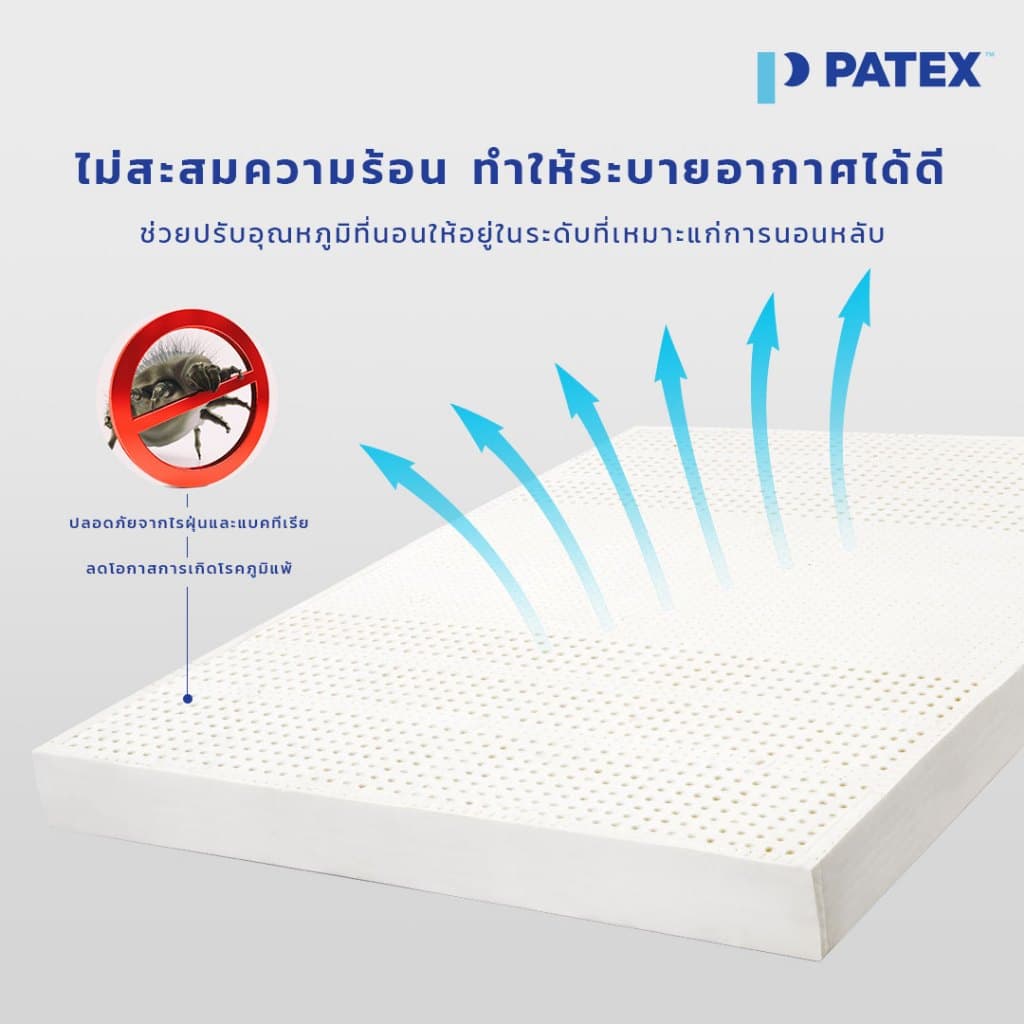 PATEX รุ่น Healthy Back Support (D110) ที่นอนยางพาราแท้ 100% ขนาด 3.5, 5, 6 ฟุต แก้ปวดหลังด้วยเทคโนโลยี 7-Body Zone https://lnwchill.com
