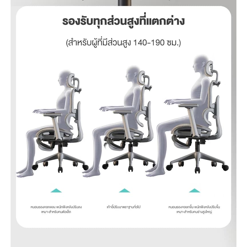 Kris รุ่น P5 เก้าอี้เพื่อสุขภาพ Ergonomic สีเทา ระบายอากาศดีเยี่ยม เบาะฟองน้ำ รองรับสรีระตามหลักสรีรศาสตร์ พร้อมการรับประกันนาน 3 ปี https://lnwchill.com