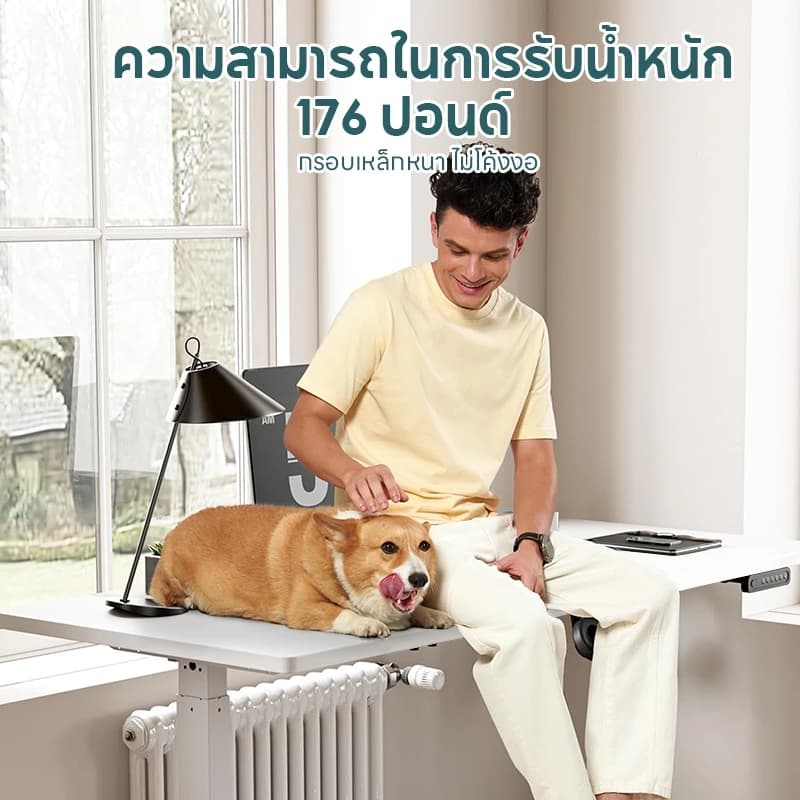 Xpanse โต๊ะปรับระดับไฟฟ้า โต๊ะทํางานปรับระดับไฟฟ้า โต๊ะทำงานยืดหยุ่นไฟฟ้า โต๊ะไฟฟ้า สีขาว สีคาร์บอนไฟเบอร์ ที่เหมาะสมต่อรูปร่าง โต๊ะทำงานไฟฟ้า สินค้าเป็นที่นิยม ราคาประหยัด รับประกันความพึงพอใจ ต้องมี https://lnwchill.com